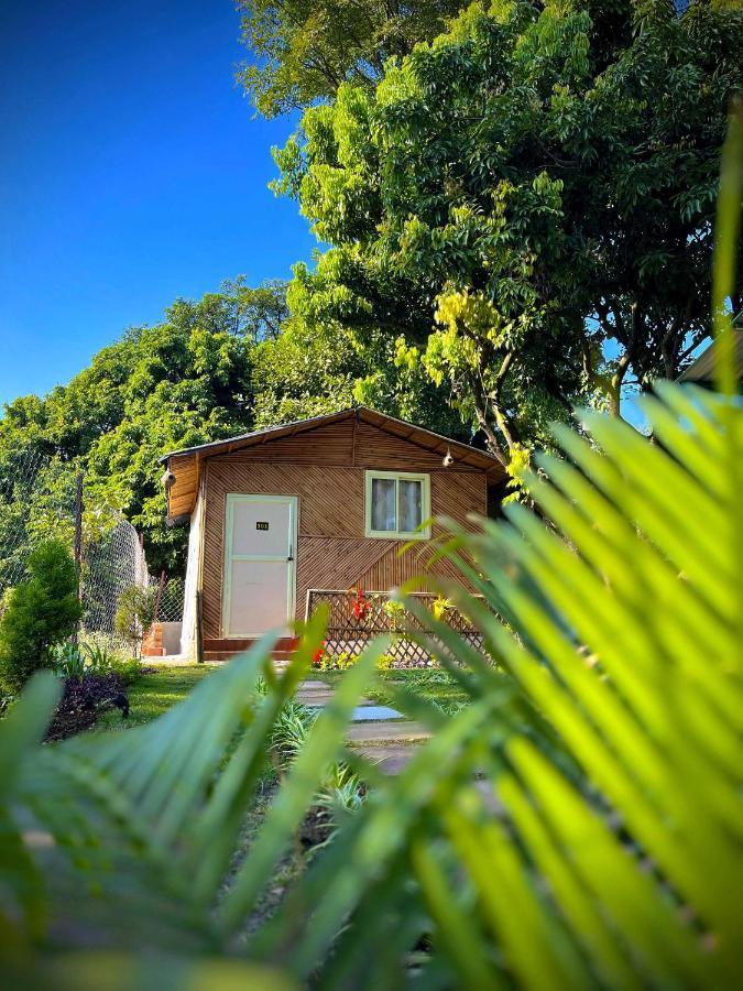 Hotel O Royal Tree Cafe And Resort Dehradun Esterno foto