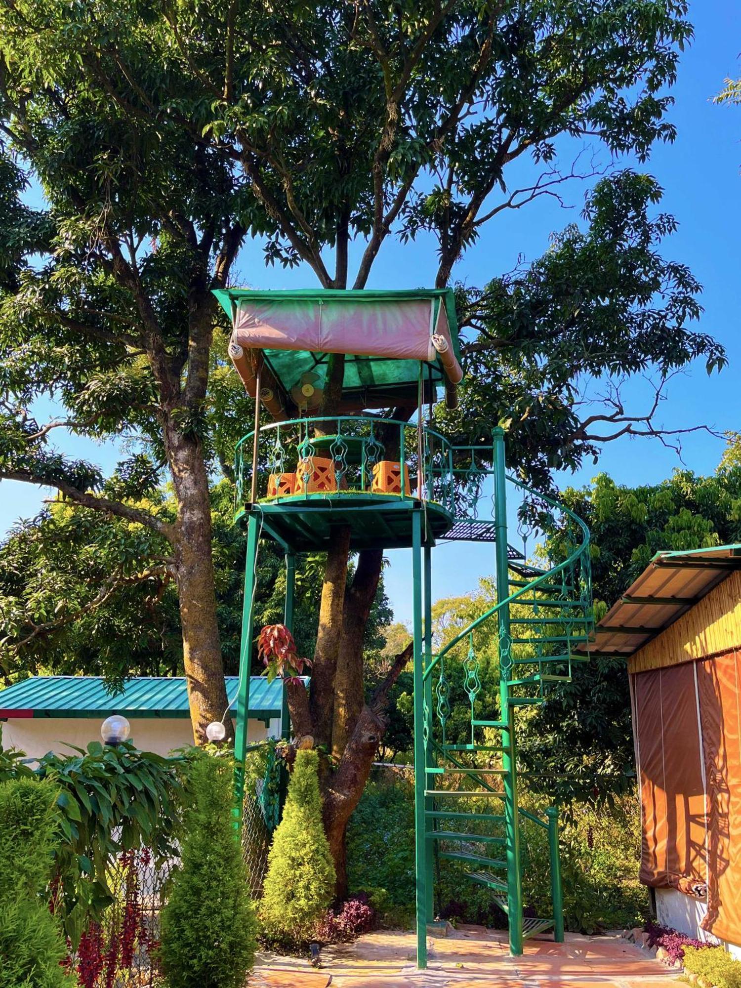 Hotel O Royal Tree Cafe And Resort Dehradun Esterno foto